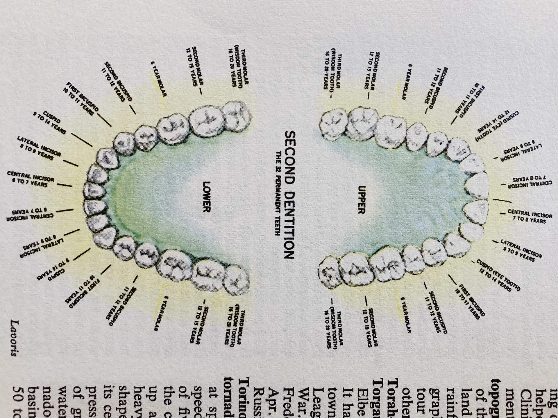 Unseen Structures Pt 2