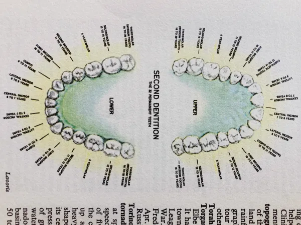 Unseen Structures Pt 2